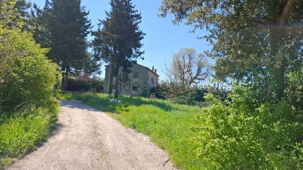 appartamento in vendita a Jesi