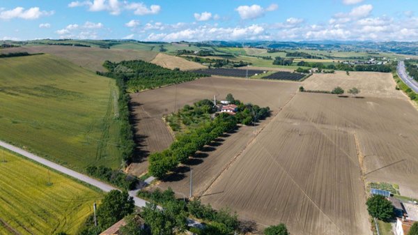 terreno agricolo in vendita a Jesi
