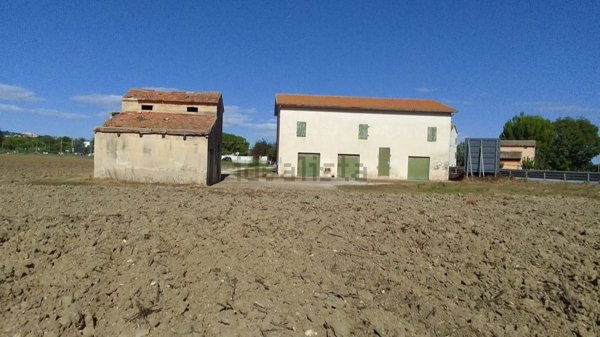 appartamento in vendita a Jesi