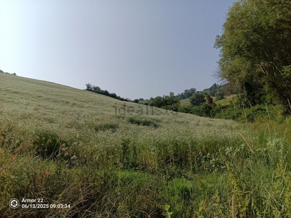 terreno agricolo in vendita a Jesi