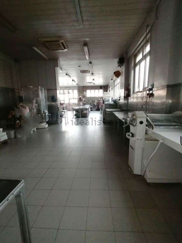 pentavano in vendita a Jesi