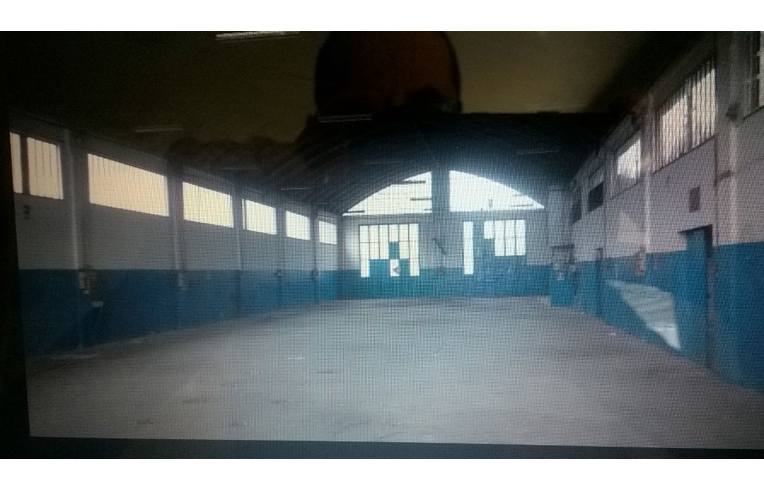 terreno agricolo in vendita a Jesi