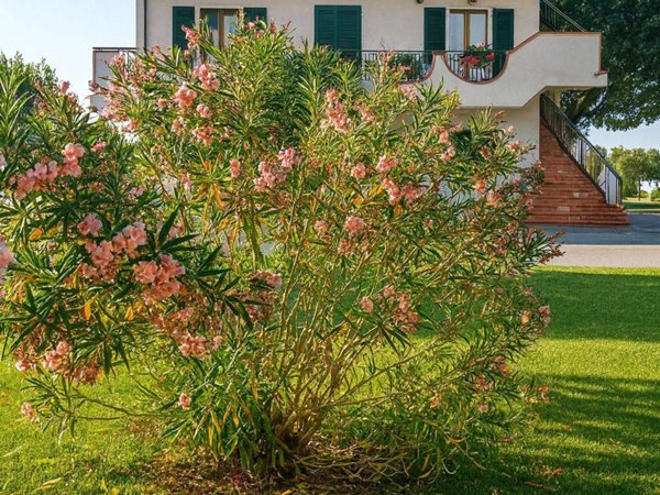 casa indipendente in vendita a Jesi in zona Tabano