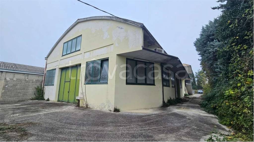 capannone in vendita a Jesi