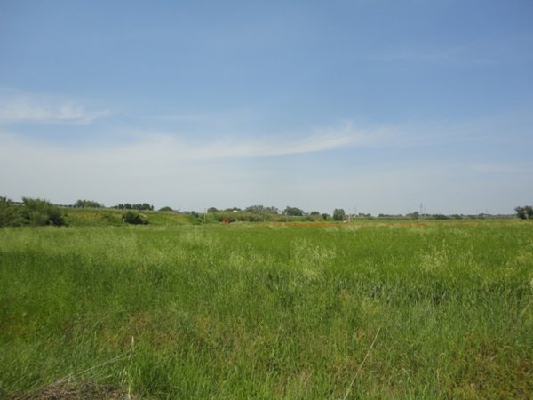 terreno agricolo in vendita a Jesi