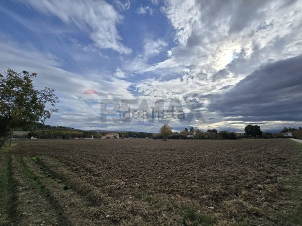 terreno agricolo in vendita a Jesi