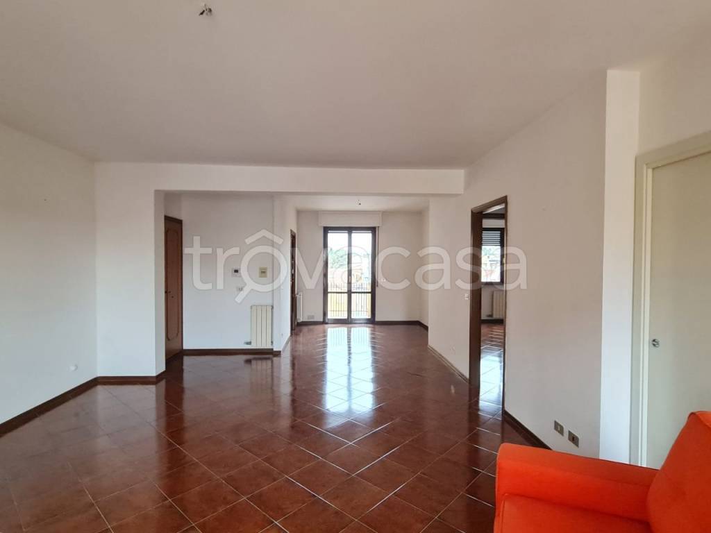 appartamento in vendita a Jesi