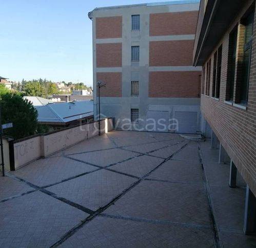 appartamento in vendita a Jesi