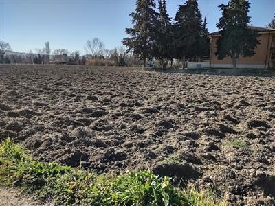 terreno agricolo in vendita a Jesi