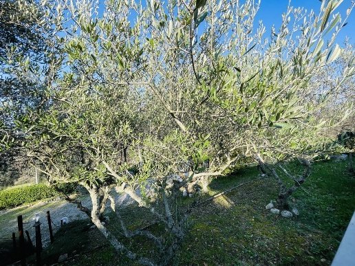 casa indipendente in vendita a Jesi