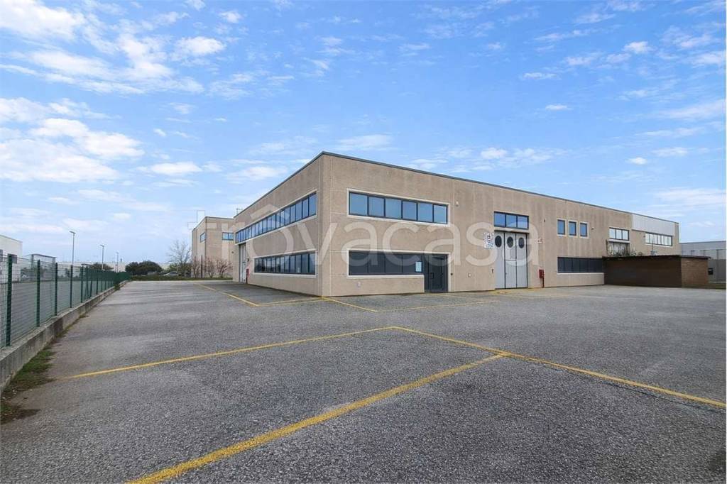 appartamento in vendita a Jesi