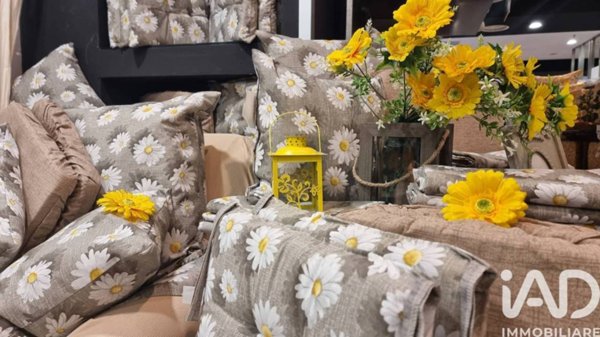 negozio in vendita a Jesi