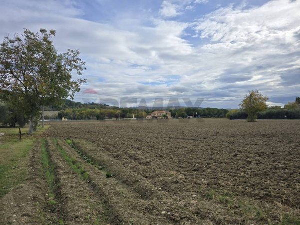 terreno agricolo in vendita a Jesi