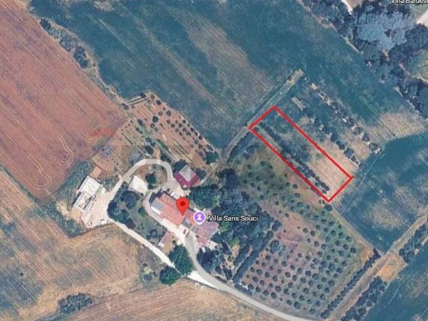 terreno agricolo in vendita a Jesi