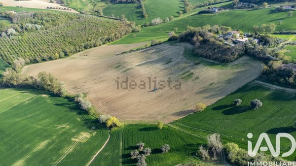 terreno agricolo in vendita a Jesi