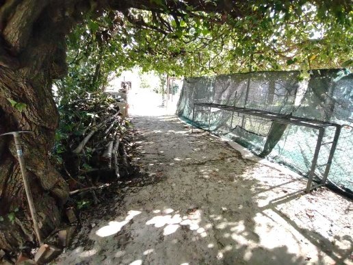 casa indipendente in vendita a Jesi