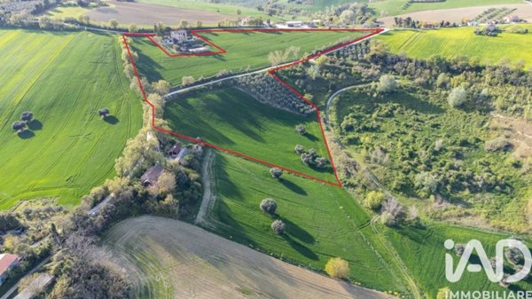 terreno agricolo in vendita a Jesi in zona Tabano