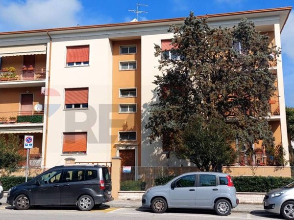 appartamento in vendita a Jesi