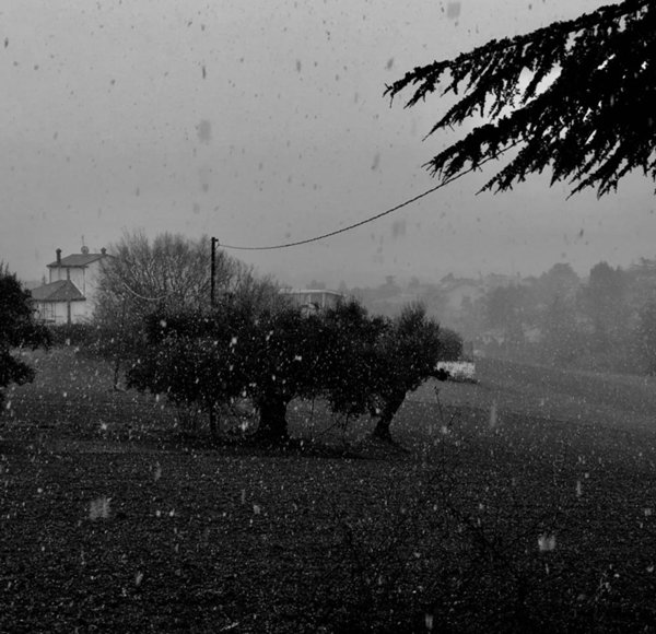 terreno agricolo in vendita a Jesi