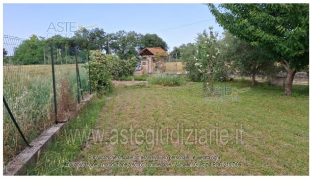 terreno agricolo in vendita a Jesi