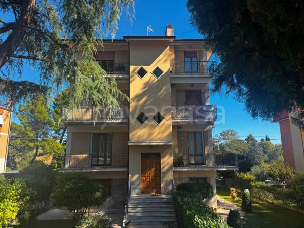 appartamento in vendita a Jesi