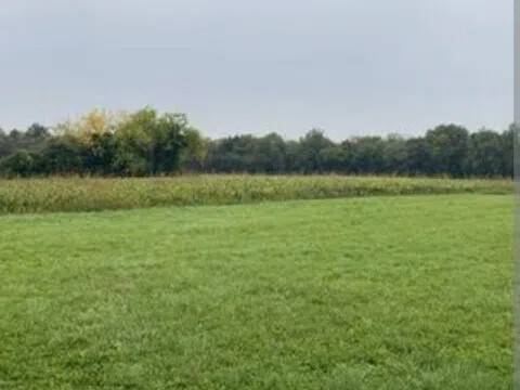 terreno agricolo in vendita a Jesi in zona Mazzangrugno