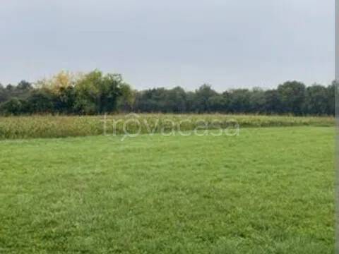 terreno agricolo in vendita a Jesi