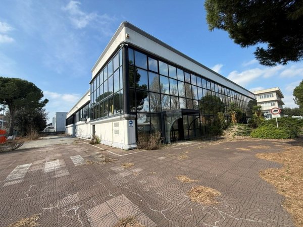 appartamento in vendita a Jesi