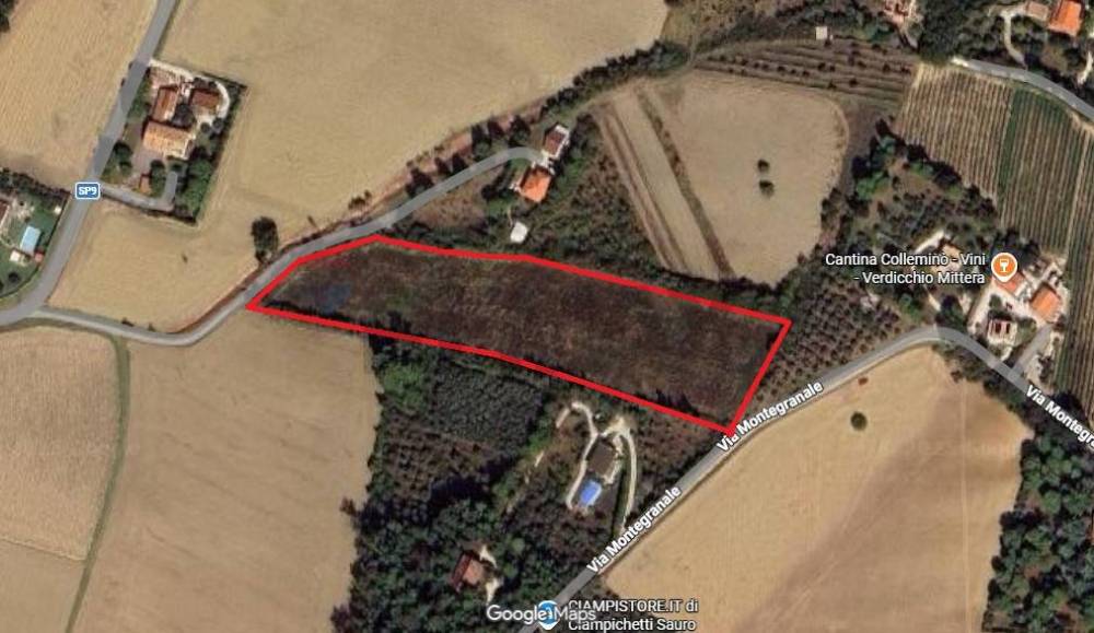 terreno agricolo in vendita a Jesi