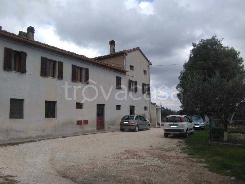 casa indipendente in vendita a Jesi