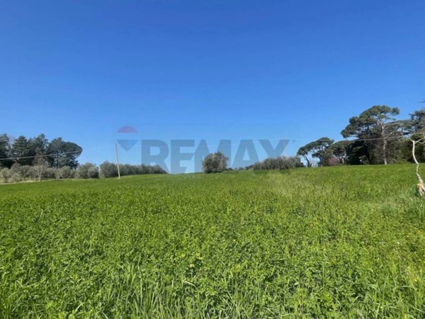 terreno agricolo in vendita a Jesi