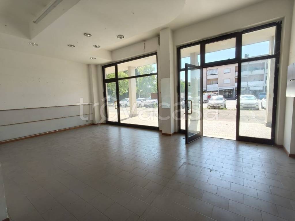 negozio in vendita a Jesi