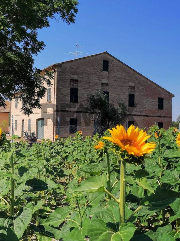 casa indipendente in vendita a Jesi