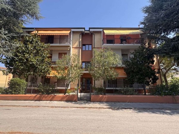 appartamento in vendita a Jesi