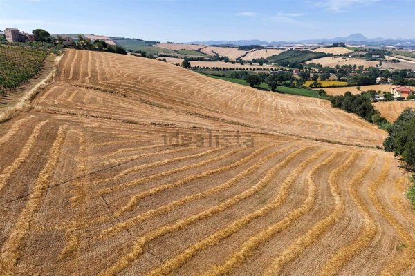 terreno agricolo in vendita a Jesi