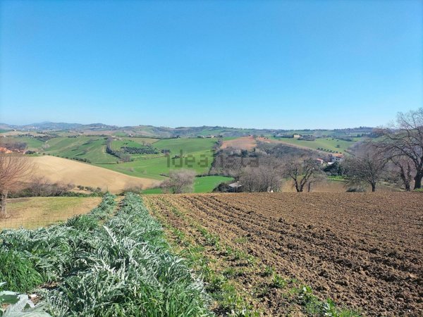 terreno agricolo in vendita a Jesi