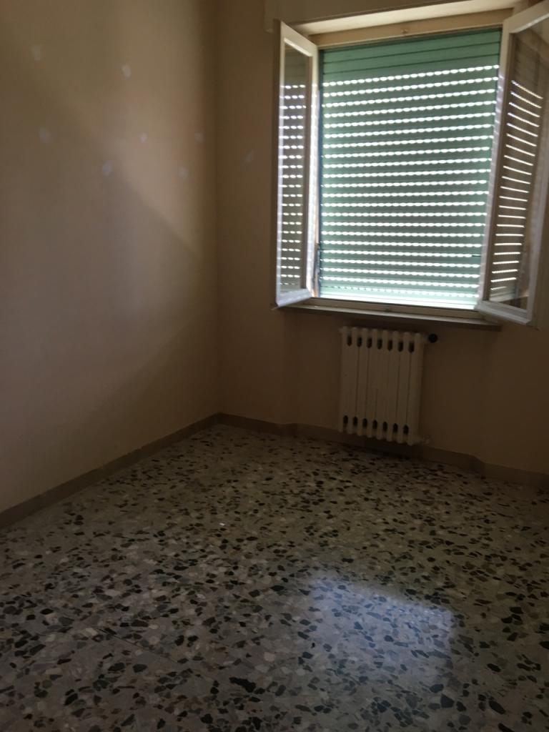 box auto in vendita a Jesi