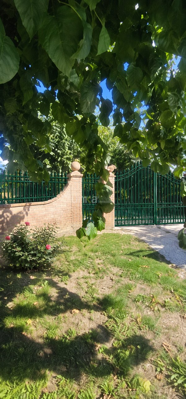 appartamento in vendita a Jesi