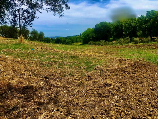 terreno agricolo in vendita a Jesi
