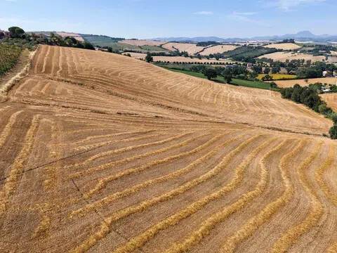 terreno agricolo in vendita a Jesi in zona Mazzangrugno