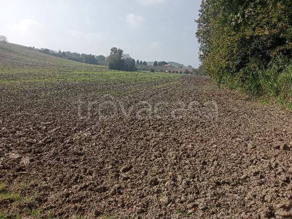 terreno agricolo in vendita a Loreto