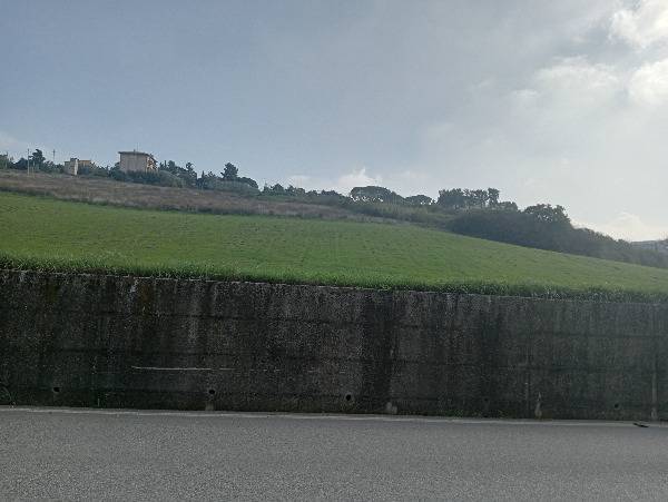 terreno agricolo in vendita a Loreto
