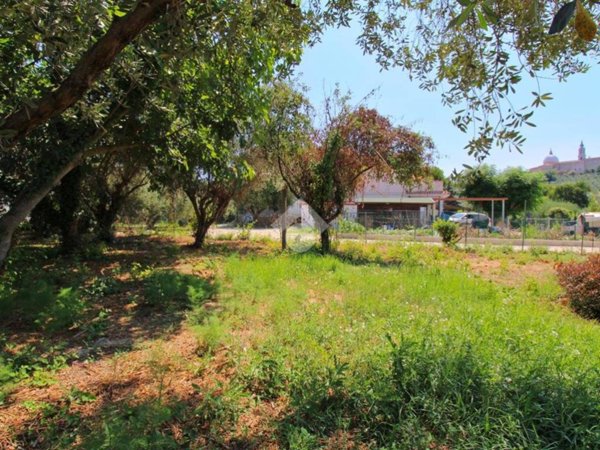 terreno agricolo in vendita a Loreto in zona Villa Musone