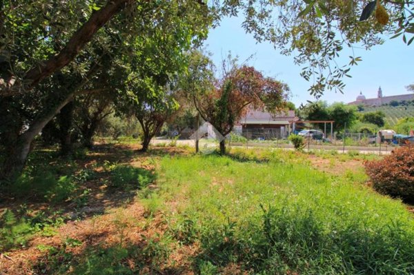 terreno agricolo in vendita a Loreto in zona Villa Musone