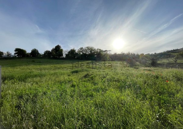 terreno agricolo in vendita a Loreto in zona Costabianca