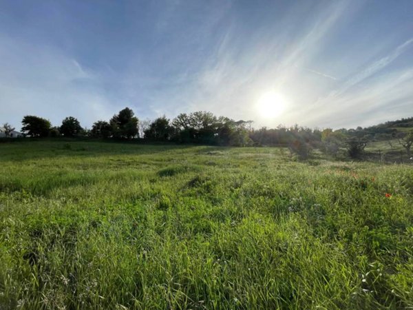 terreno agricolo in vendita a Loreto in zona Costabianca