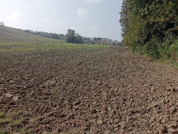 terreno agricolo in vendita a Loreto