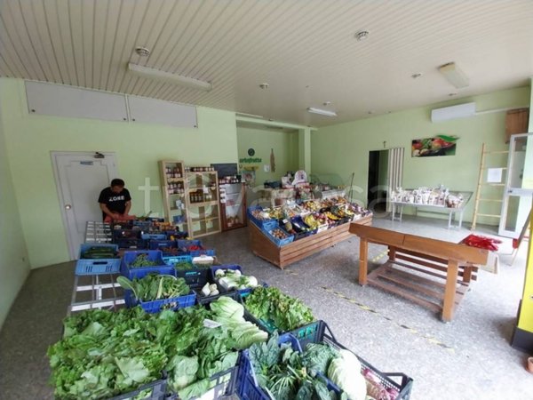 negozio in vendita a Loreto