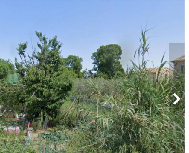terreno agricolo in vendita a Loreto