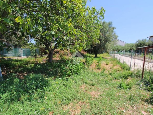 terreno agricolo in vendita a Loreto in zona Villa Musone